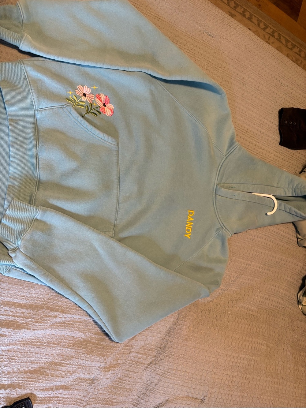 Dandy worldwide gift giving Light Blue Hoodie with Floral Embroidery